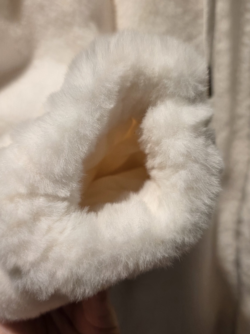 Plush Hooded Zip Jacket - Cream - Picture 11 of 15